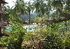 Kadavu Resorts Greenery around the resort